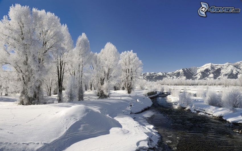 snöigt landskap, flod