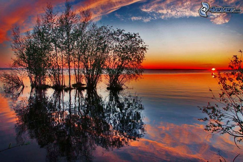 solnedgång över sjö, ö, vatten