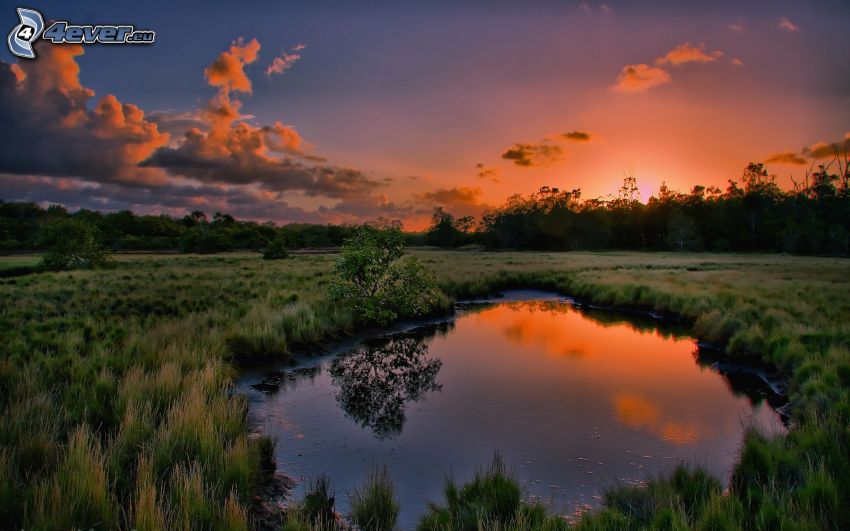 solnedgång över våtmarker