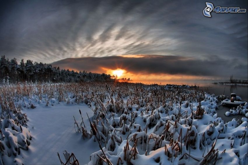 solnedgång på vintern, snöigt landskap, skog, sjö