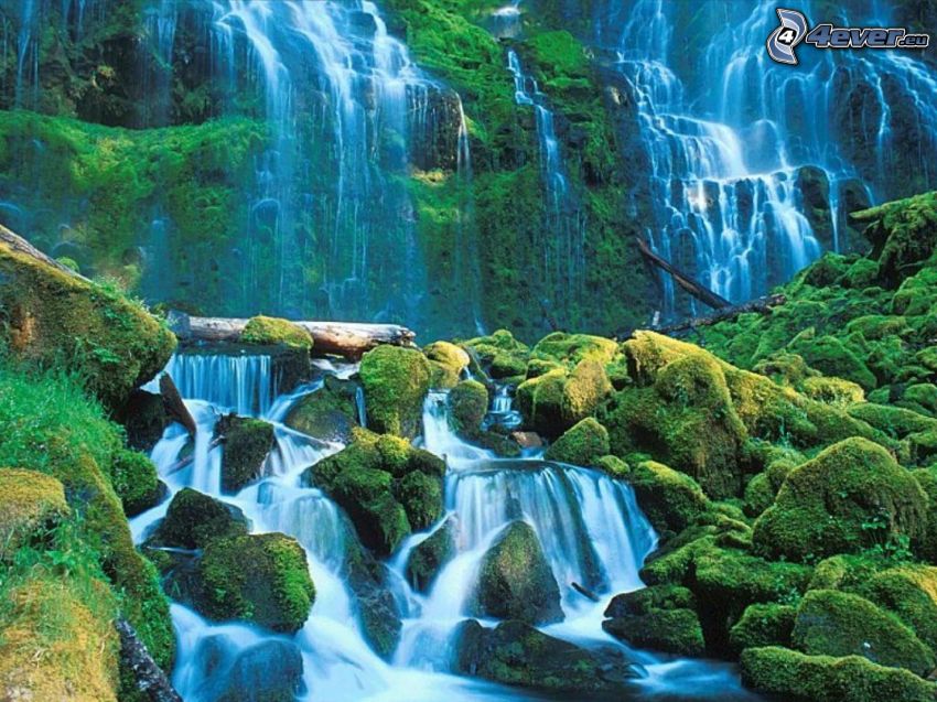 vattenfall, djungel