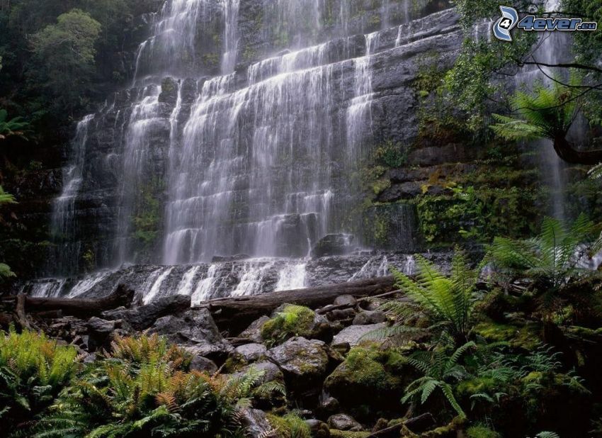 vattenfall i regnskog