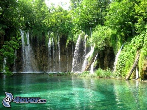 vattenfall i skogen, grönt vatten