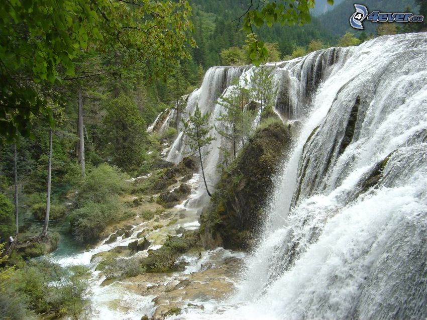 vattenfall i skogen, träd, natur, vatten