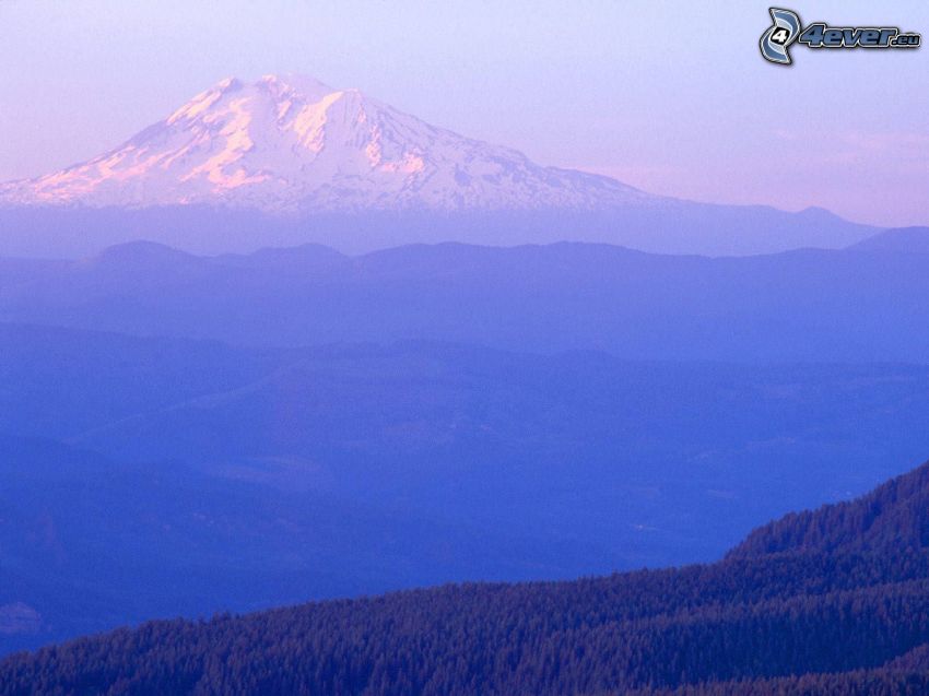 Mount Adams, Washington, USA, kulle, snö, berg, skog