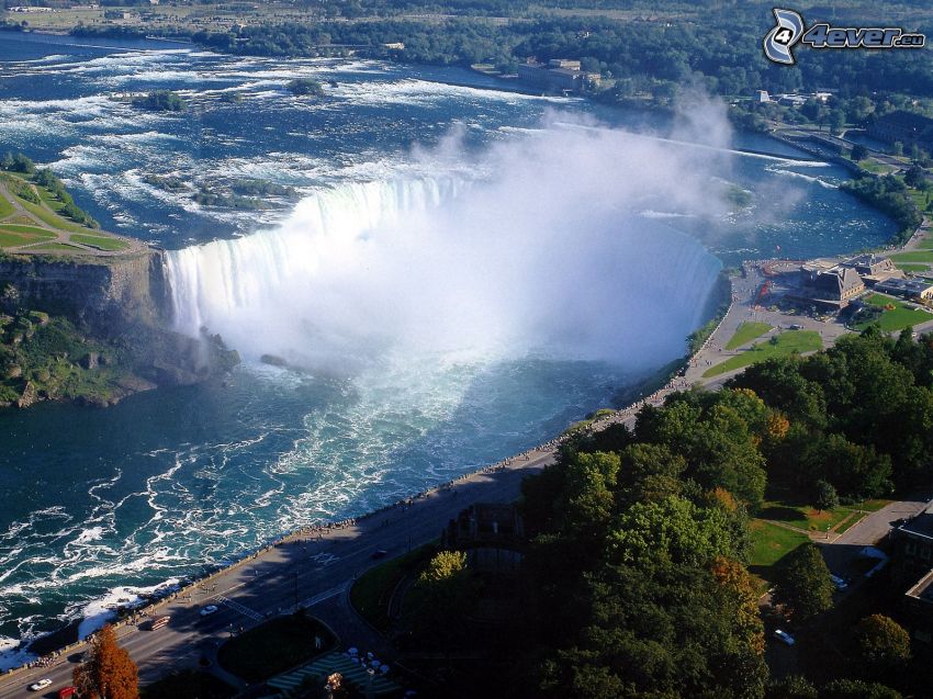Niagaras vattenfall, flod, träd