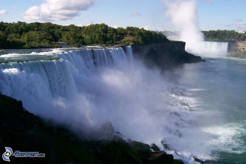 Niagaras vattenfall, träd