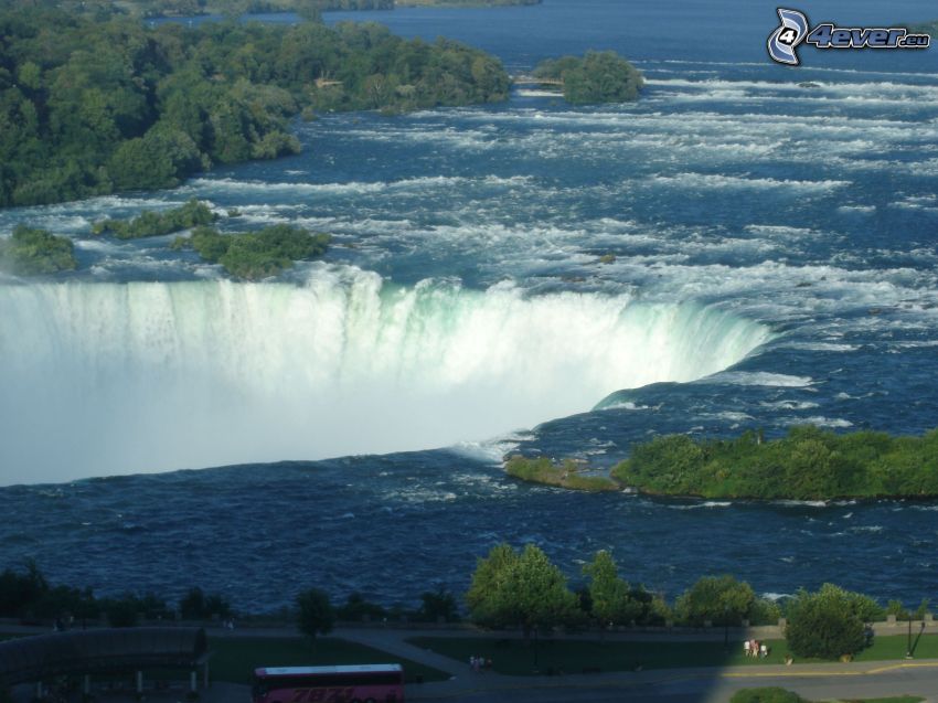 Niagaras vattenfall, träd