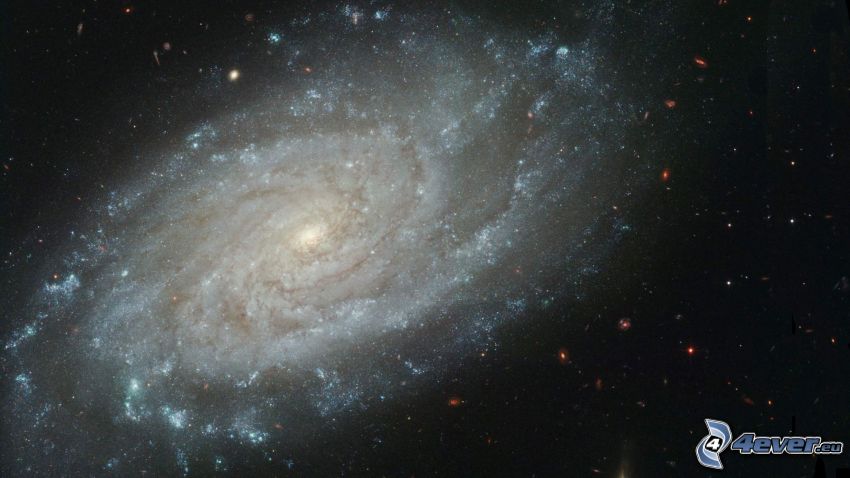 Andromeda, spiralgalax, stjärnor