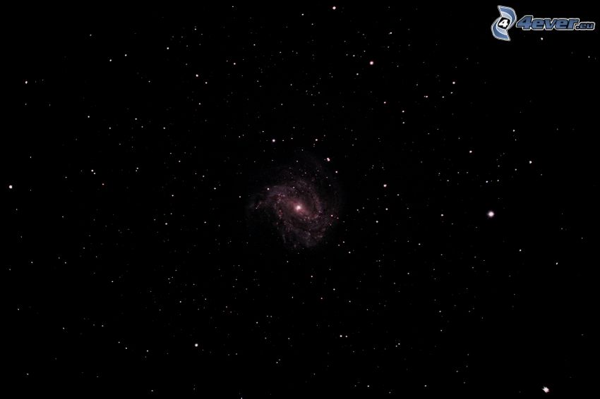 M83, spiralgalax, stjärnor