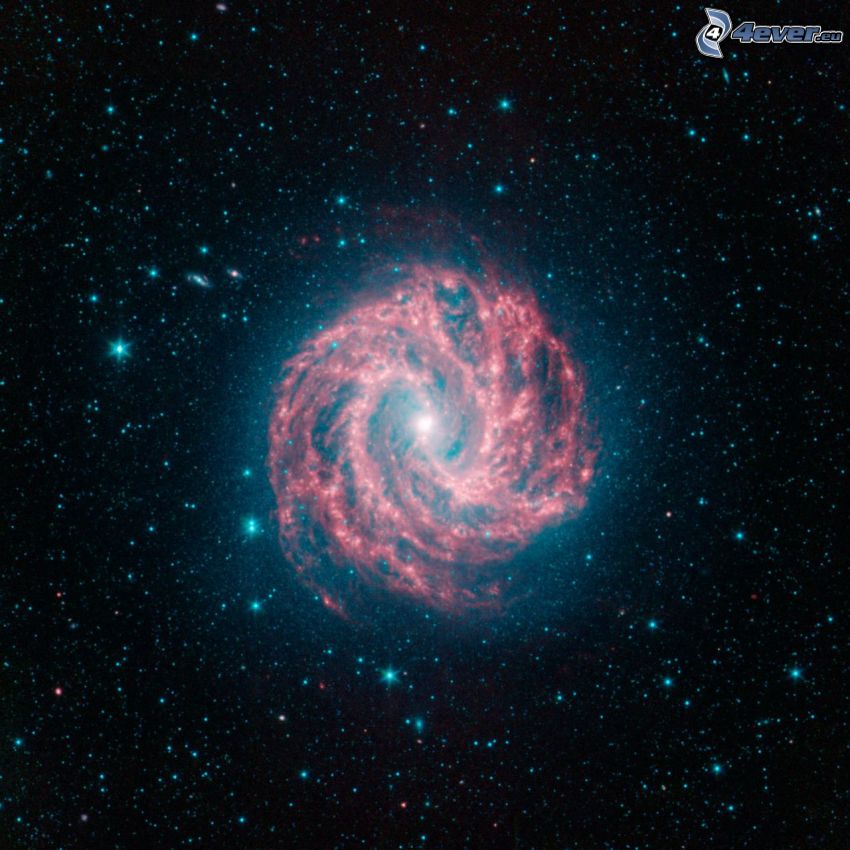 M83, spiralgalax, stjärnor