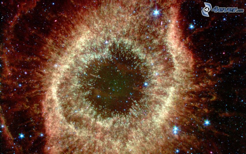Nebulan Helix, stjärnor