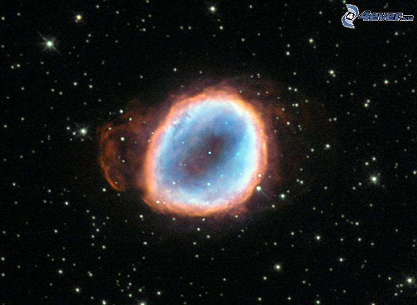 Nebulan Helix, stjärnor