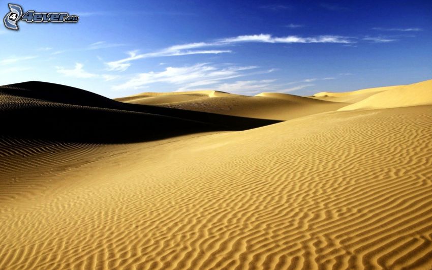 Sahara, öken