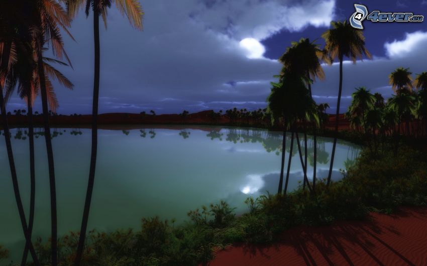 sjö, natt, palmer