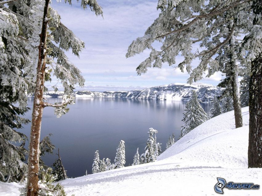 sjö, snöig bergskedja, snöklädda träd