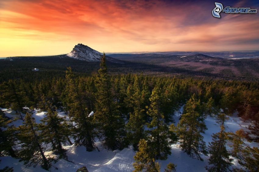 snötäckt barrskog, snöigt berg, orange solnedgång