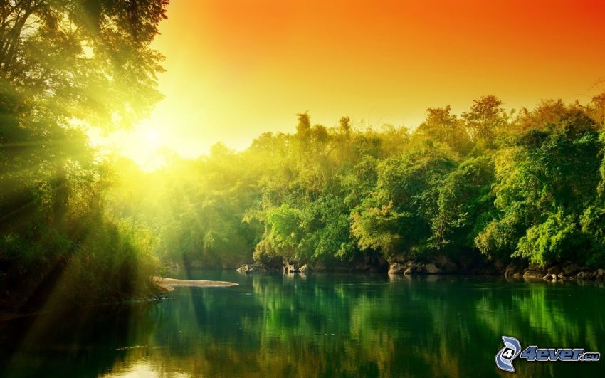 solnedgång över flod, träd, djungel