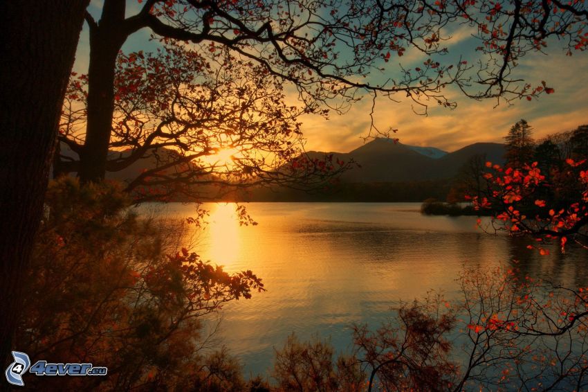 solnedgång över sjö, bergskedja, träd