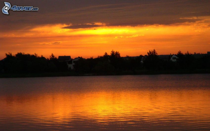 solnedgång över sjö, orange himmel