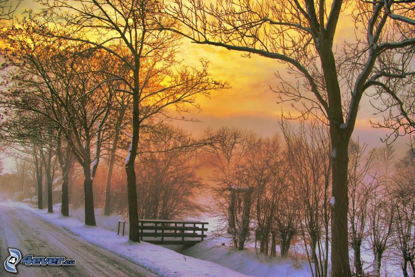 solnedgång på vintern, träd, snö