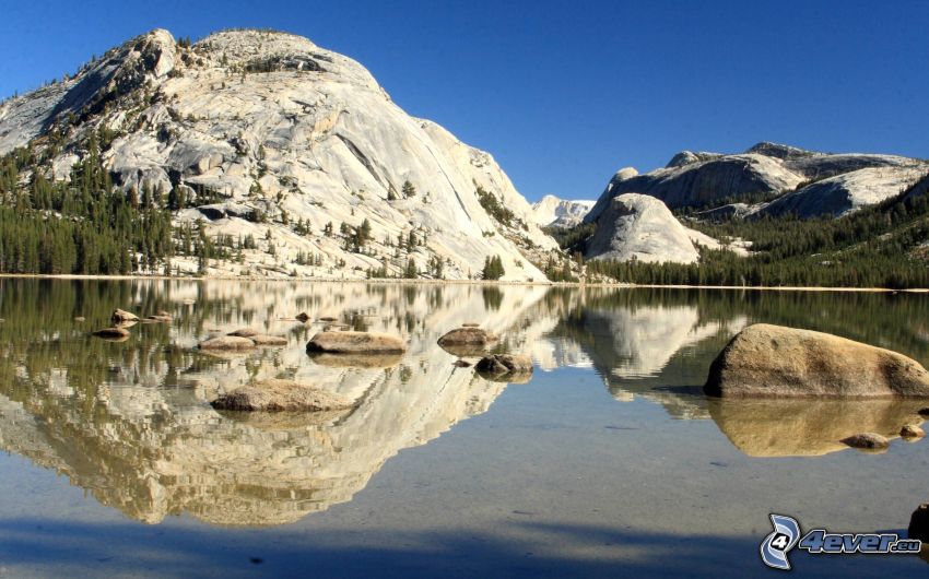 Tenaya, Yosemite National Park, sjö, spegling, kullar
