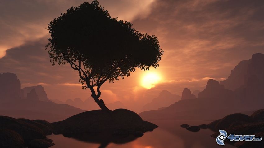 träd på klippa, solnedgång, siluett av ett träd, digitalt landskap