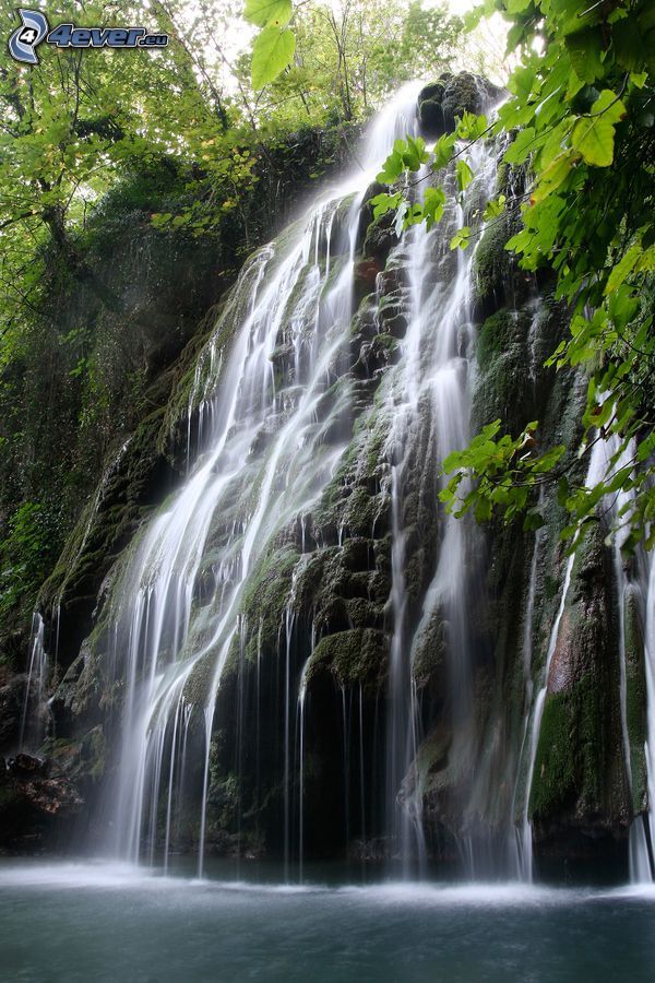 vattenfall, klippa, grenar
