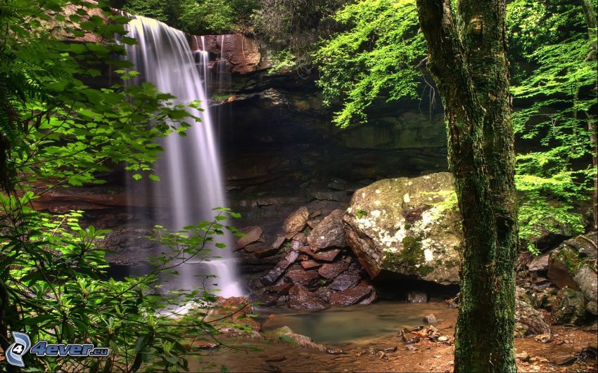 vattenfall, klippor, grönska