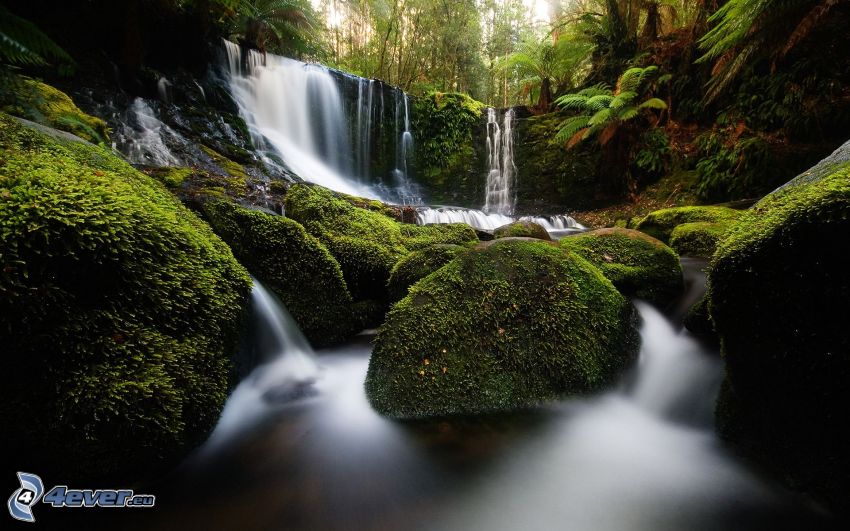 vattenfall i djungel, klippor, mossa, grönska
