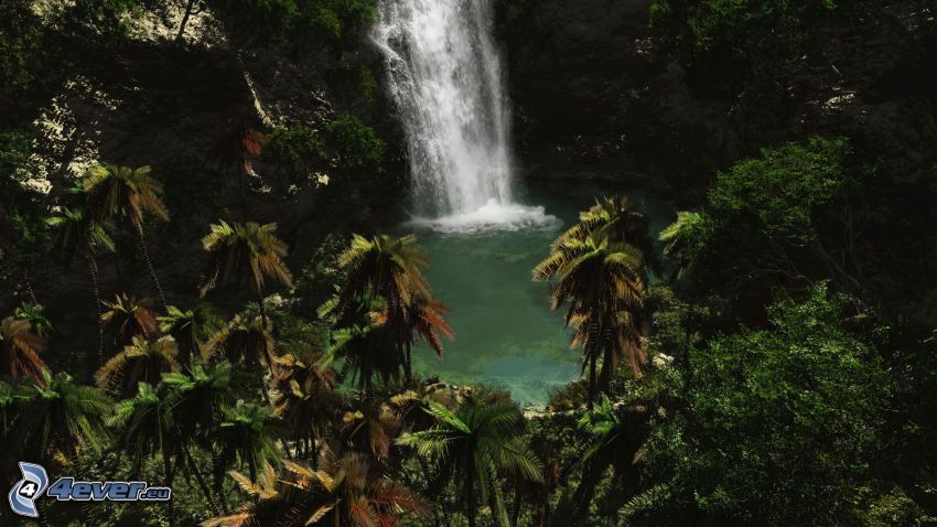 vattenfall i djungel, sjö i skogen
