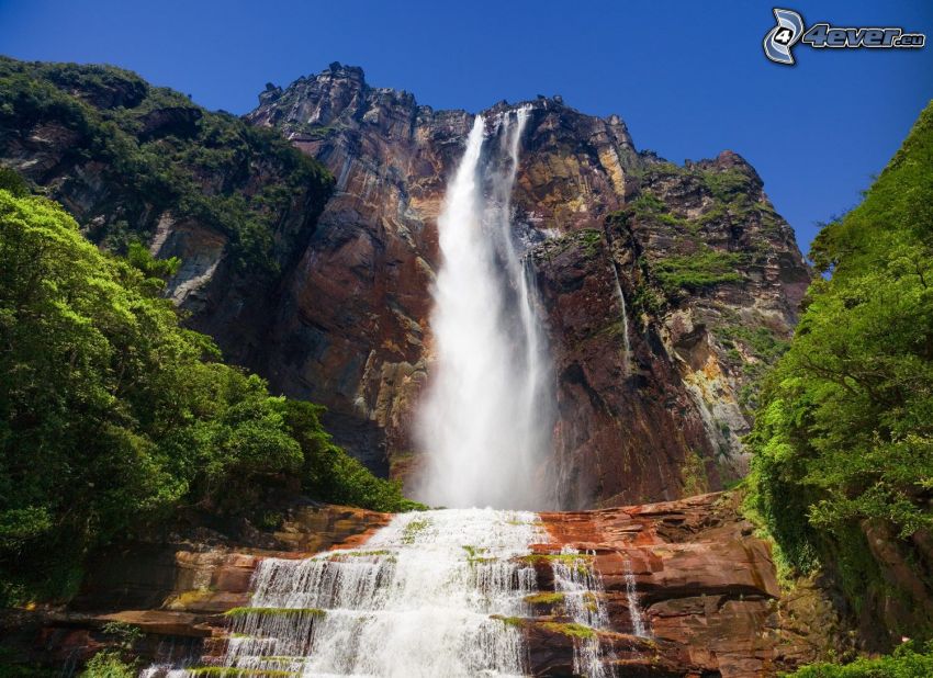 Vattenfallet Angel Falls, rev, träd, Venezuela
