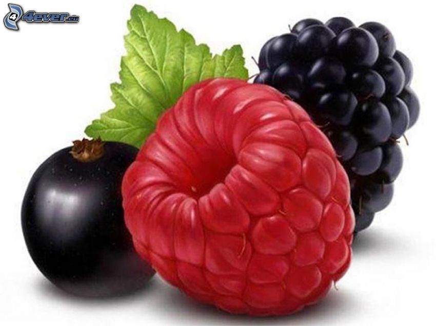 frukt, hallon, svarta vinbär, björnbär, grönt blad