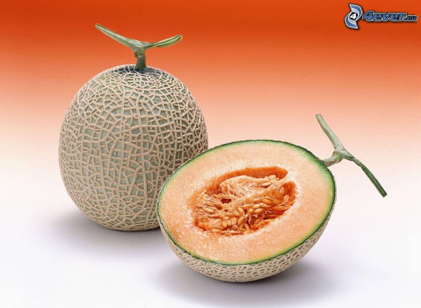 gul melon