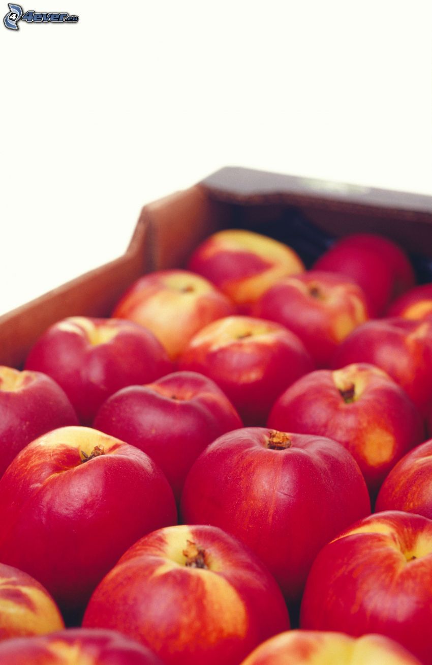 röda äpplen i låda