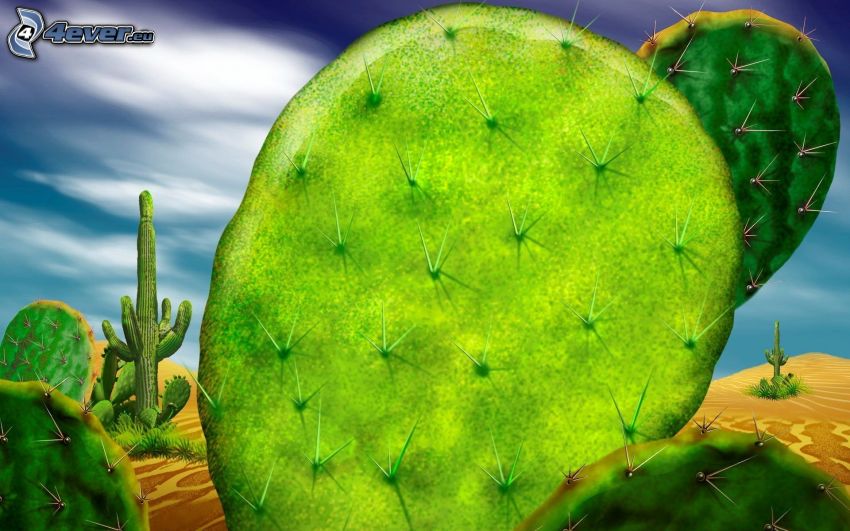 kaktusar