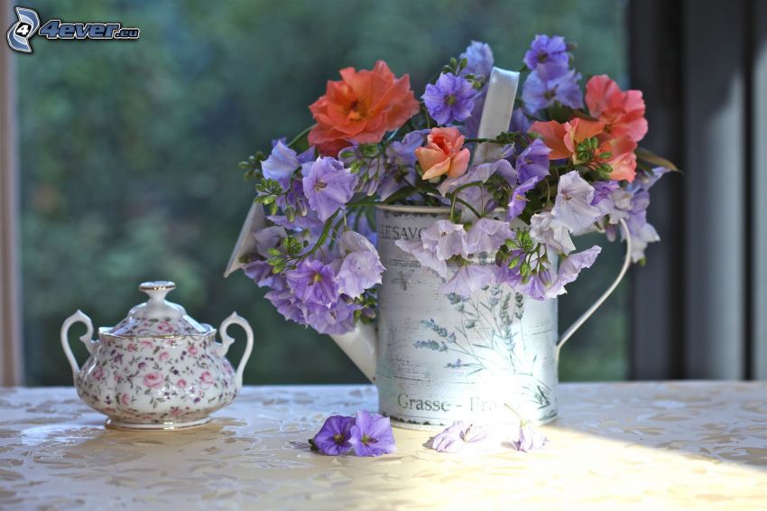 stilleben, blommor, vattenkanna, kopp, porslin