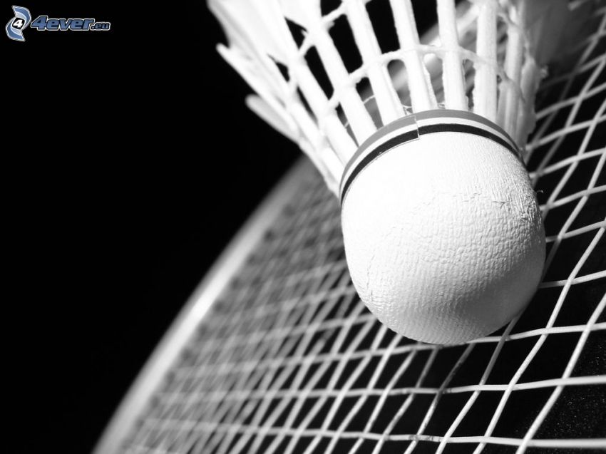 badmintonboll, badmintonracket, svartvitt foto