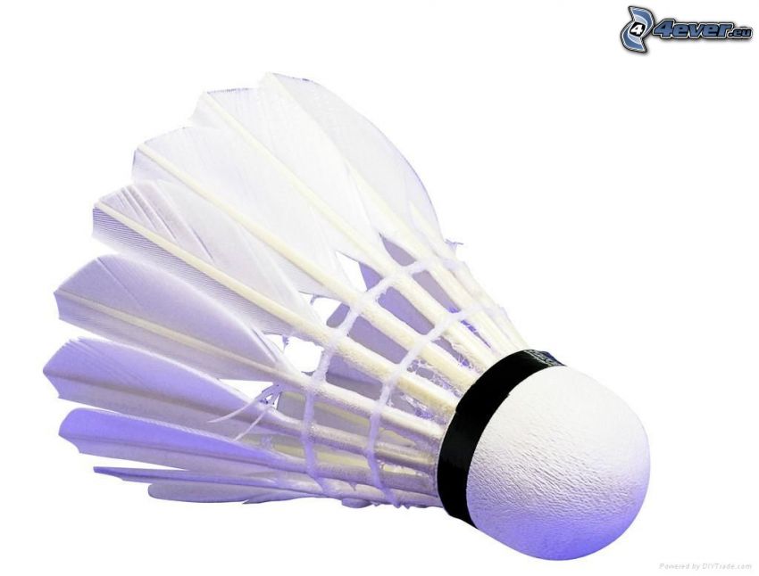 badmintonboll