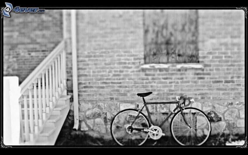 cykel, svartvitt foto