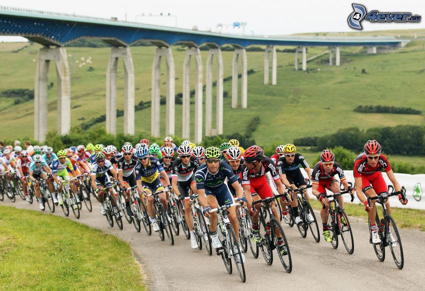 Tour De France, cyklister, motorvägsbro