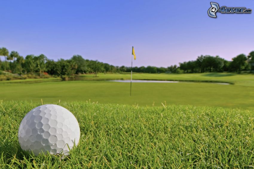 golf, golfboll, golfbana, gräsmatta