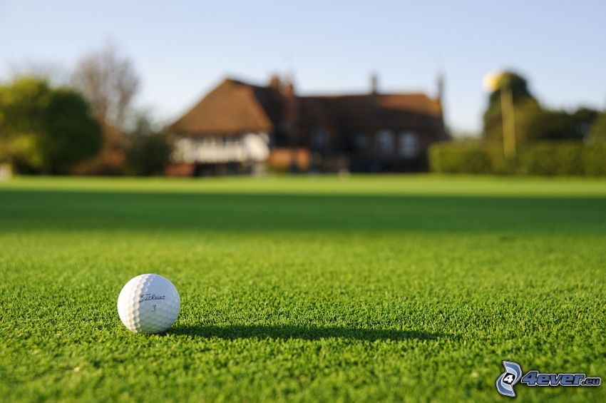 golfboll, gräsmatta, hus