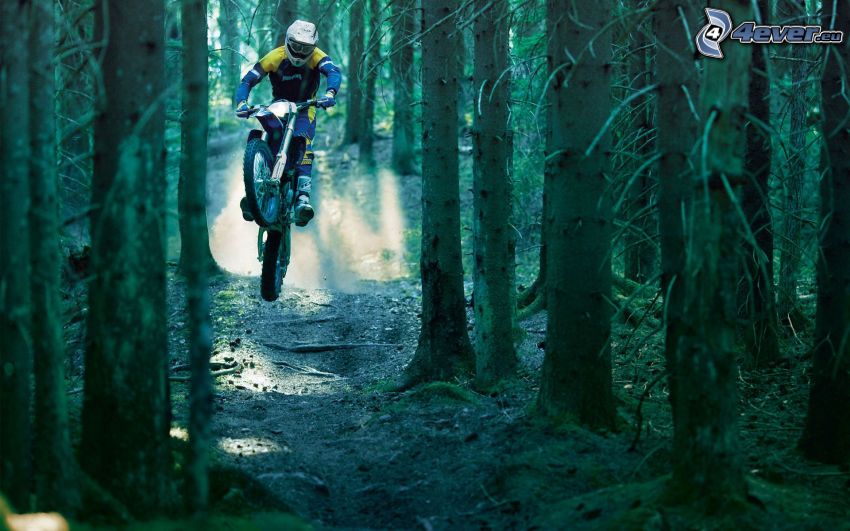 motocross, skog