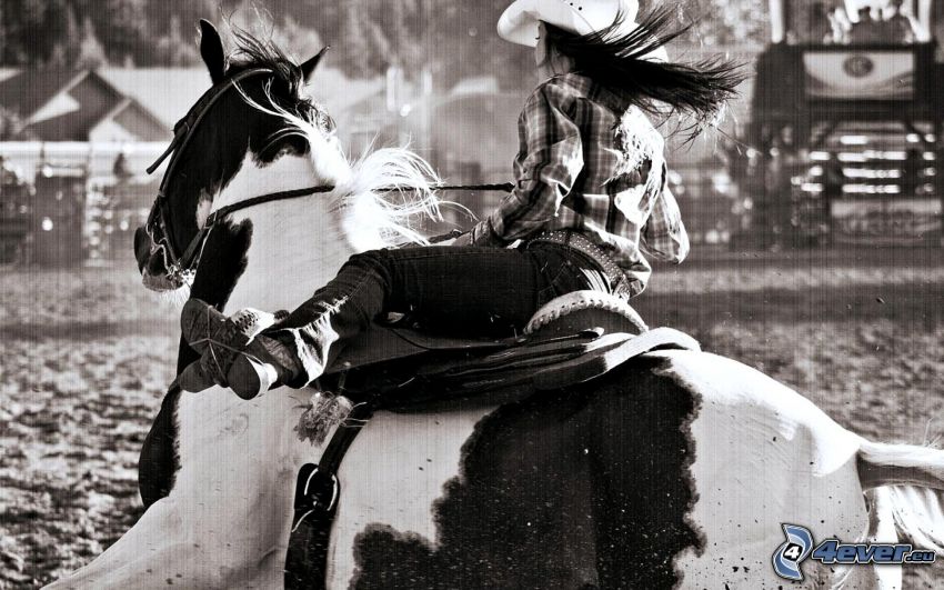 rodeo, cowboytjej, svartvitt foto