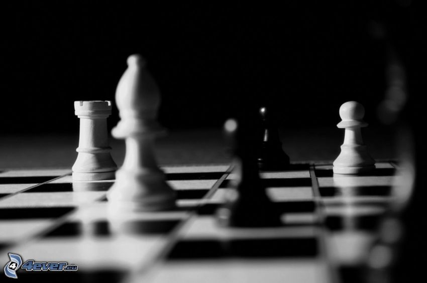 schack, schackpjäser, svartvitt foto