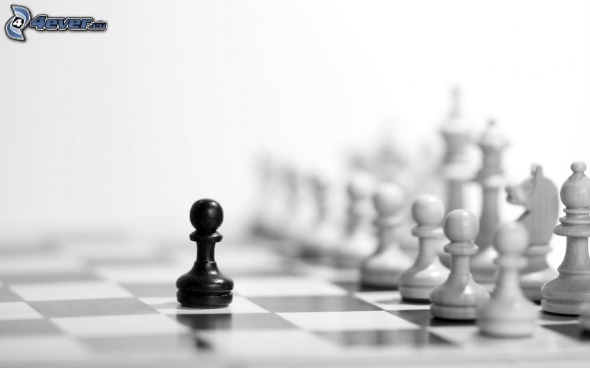 schackpjäser, svartvitt foto