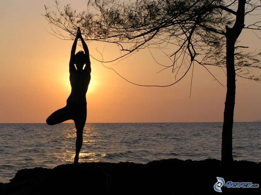 silhuett av kvinna, yoga, solnedgång över hav, siluett av ett träd