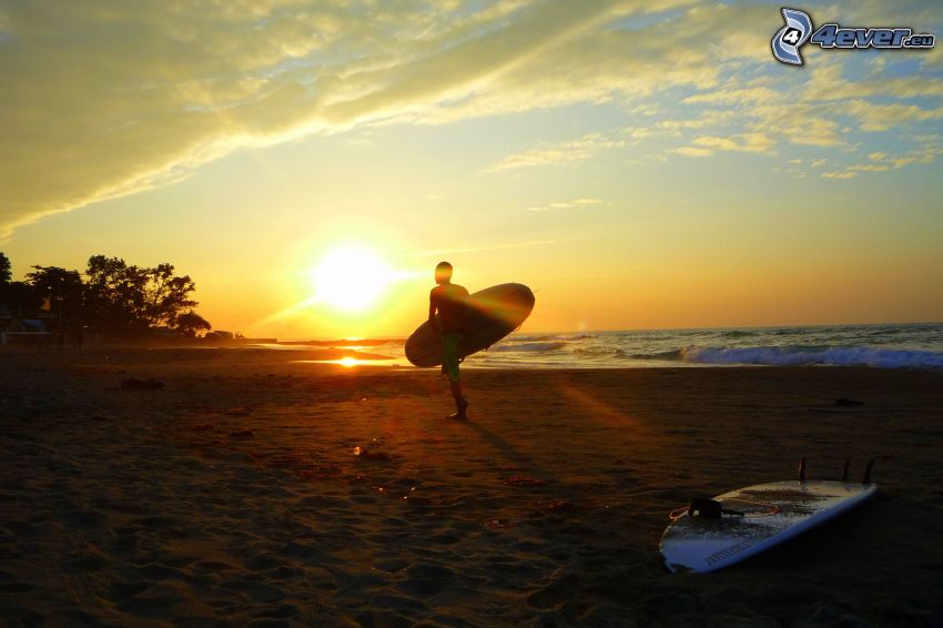 surfare, strand i solnedgång, surfbrädor, hav