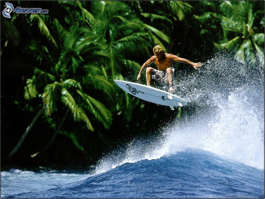 surfing, palmer